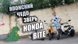 Чудо скутер из Японии. Honda Bite 50