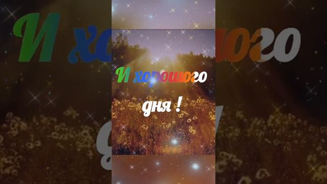 Пожелания доброго утра! #доброеутро #хорошеенастроение #пожеланиядоброгоутра
