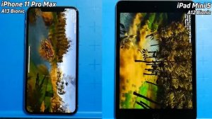 iPhone 11 Pro Max vs iPad Mini 5