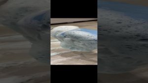 Пол в ванной ??