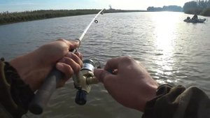 Рыбалка на Сазана в Астрахани, с Новой лодки-RiverBoat Navigator 31. 07.09.19.