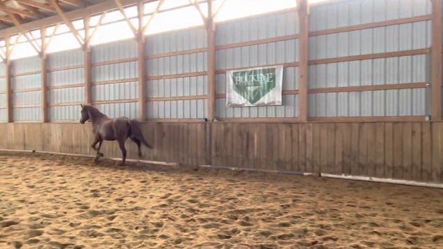 SB Evening Sonnet- 2018 GRP- Free Lunge/Jump 12-28-22 смотреть онлайн