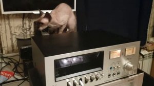 Pioneer CT-F2121