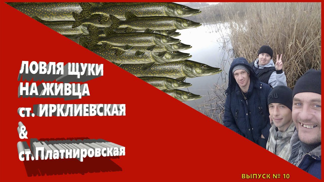Рыбалка. Ловля Щуки на живца. Ст.Ирклиевская, ст.Платнировская /// Рыбалка на кубани /// Выпуск № 10