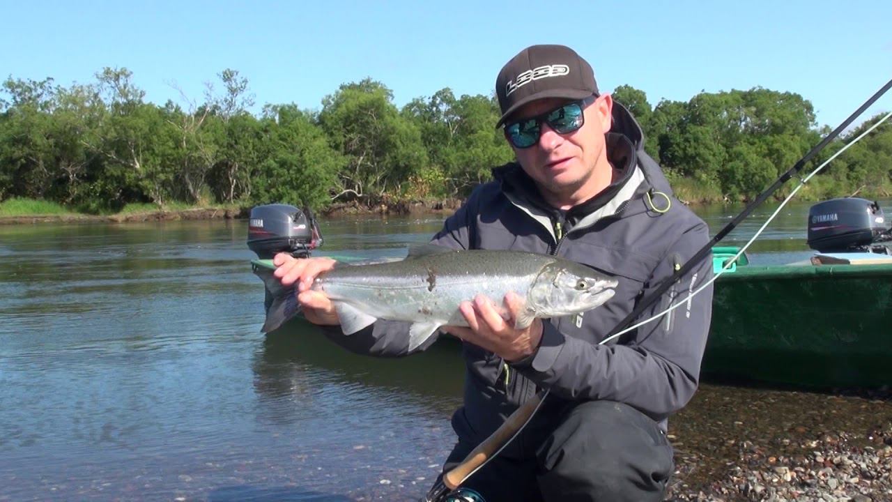 Камчатка, Кижуч 2018 год, рыболовная база "Большая Река" - "Big River"