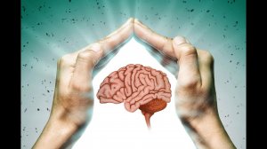 Береги свой мозг!