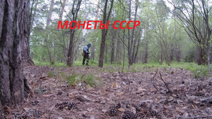 Монеты СССР, поиск с Эквинокс 600 - #53