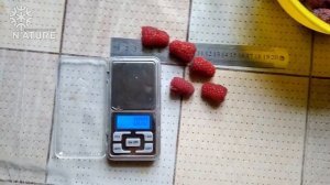 №30 Малина "Лячка" 2022 рік