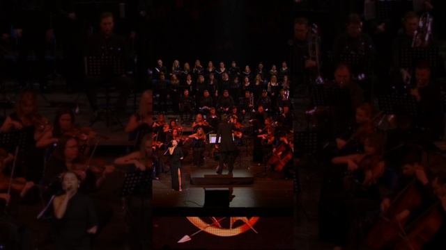 Голодные игры | Imperial Orchestra