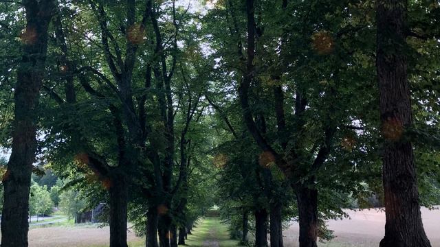 E. Satie: Gymnopédie No. 3 - A fortunate stroke of serendipity /// Pan flute & Piano смотреть онлайн