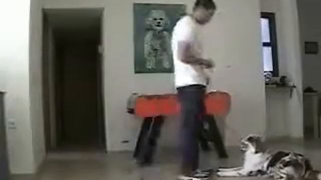 Кликер дрессировка Урок 8 Жди ч 2)