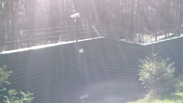 Паркани Межигір'я - Заборы Межигорье (Межигір'я 27) смотреть онлайн