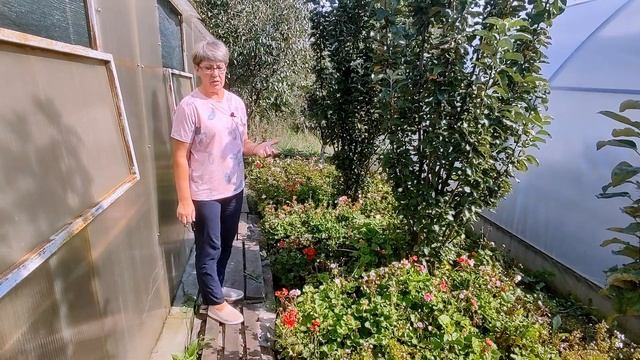 Готовимся к новому сезону и немного о старом. По закупкам звоните по телефону 89204289367 Елена смотреть онлайн