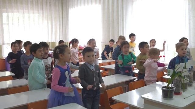 Видеоуроки по экологии: МЫ ЭКОЛОГИ
