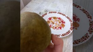 Груша "БЕЛОРУССКАЯ ПОЗДНЯЯ"