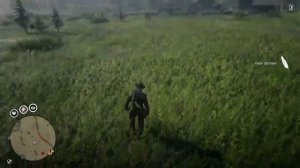 Фазаны. Подсказки(гайды), помощь. Red Dead Redemption 2 online. РДР2 онлайн.