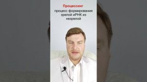 Интроны и экзоны. ЕГЭ Биология. ЕГЭ 2022.