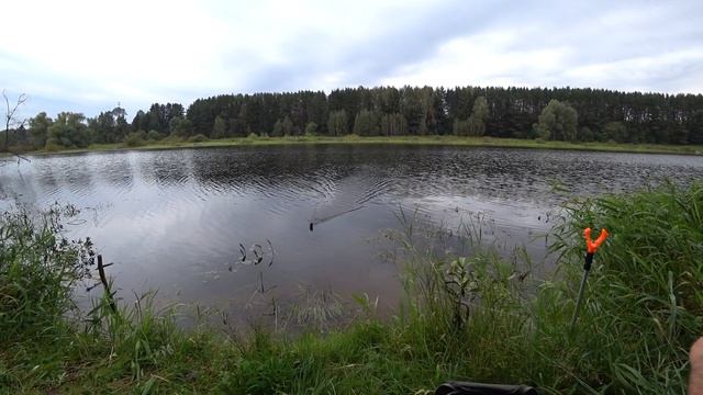 Москва река. Можайск. Сентябрь 2020. смотреть онлайн