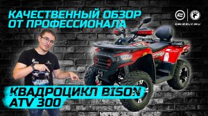 Обзор квадроцикла BIZON ATV 300