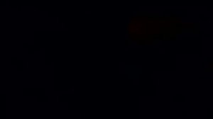 MIGUEL CASTANEDA, MONEY HUNGRY HOES