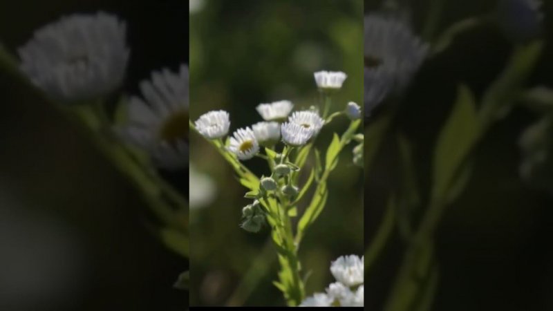 Всегда говори Слава Богу за все