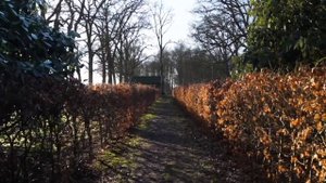 Муж узнал, что у жены есть любовник, но то, что потом сделал муж удивило даже его жену