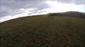 Коп в Калужской области в октябре