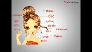 Части тела на казахском.