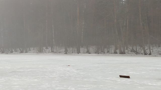 10.04.22г. Рыбалка.Озеро Раифское