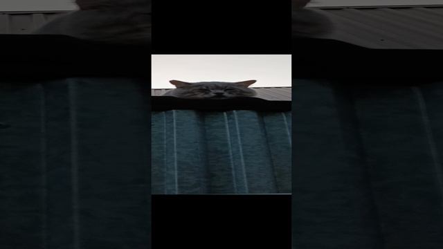 Предложение от которого нельзя отказаться)
