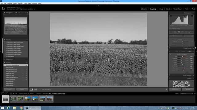 Коррекция отдельных цветов в Adobe Lightroom. Урок №3. Обработка фото. GoPro. Смартфон. Квадрокопте смотреть онлайн