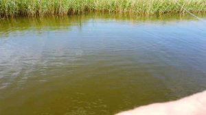 Ловим рыбку на Ильинских озерах. 
#рыбалка
#Путешествия и рыбалка