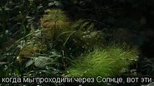 2012 07 21 Медитация Райский сад смотреть онлайн