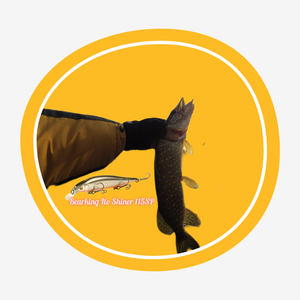 Самый Популярный Воблер у Беркинг Ито Шайнер РАЗЛОВЛЕН! Рыбалка на спиннинг в октябре! Спиннинг.