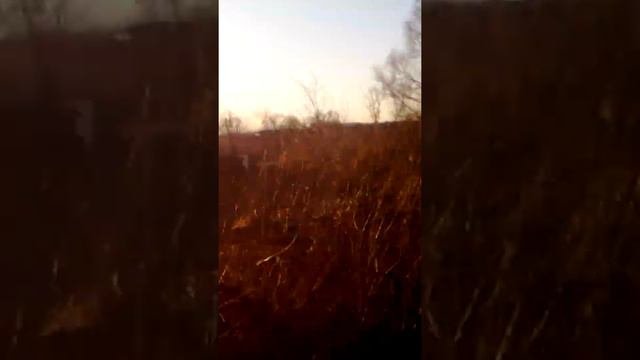 Поджог в селе Чусовитино.
