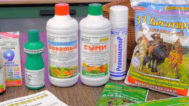 Высаживаем рассаду в теплицу / Дача с Виталием Декабревым смотреть онлайн