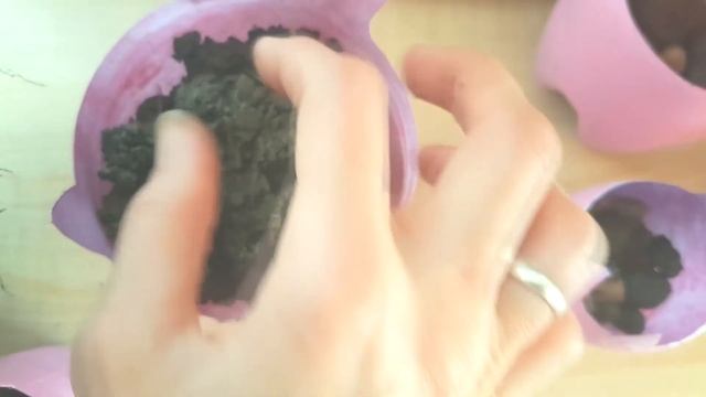 DIY ОГОРОД на подоконнике. Делаем горшочки и садим семена.//из пластиковой бутылки смотреть онлайн