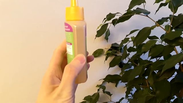 ОТРАЩИВАЮ ЗДОРОВЫЕ ВОЛОСЫ / НАТУРАЛЬНЫЙ УХОД / РЕПЕЙНОЕ МАСЛО