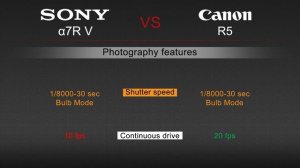 Sony a7R V VS Canon R5 Camera Comparison