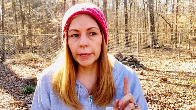 There's A New Amanita Corporation смотреть онлайн