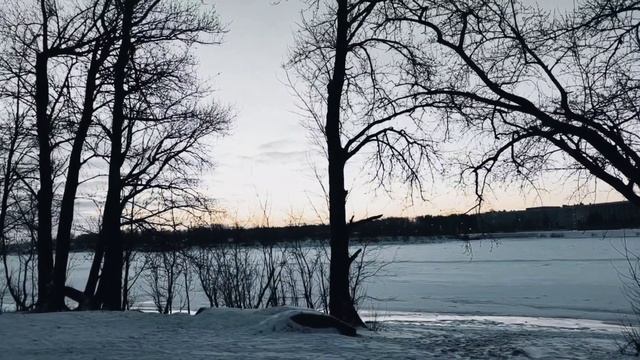 VID 20221211 223451 Всё так же мирен листьев...1927 (П. Васильев)...Павел Васильев Лахтинский смотреть онлайн