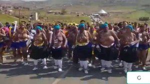 ZULU DANCE, women traditional dance (SOUTH AFRICA)