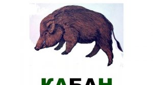 животные лесов России