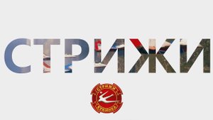 К 29-летию пилотажной авиагруппы «Стрижи»