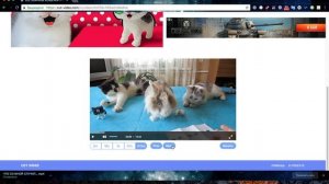 Как вырезать фрагмент из видео на youtube.