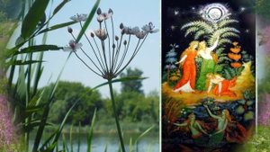 Праздник Ивана Купала! Ужесовсем скоро! Самое время начать подготовку! Самое лучшее поздравление!