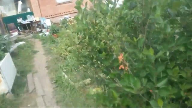 Стряпала булочки с творогом, у нас гость Ваня, мальчики помощники. смотреть онлайн