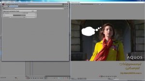 Sony Vegas Pro 13 - работа с видео , плагин Match Move