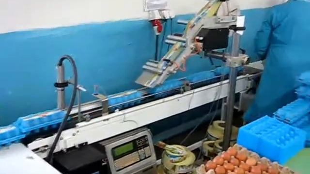 Маркировка яиц в упаковке смотреть онлайн