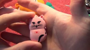 Радиоприёмник TECSUN (делаем антенну) и розовый котоплеер